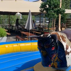 Bullriding1 Erlebnis Spaß und Fun erleben !