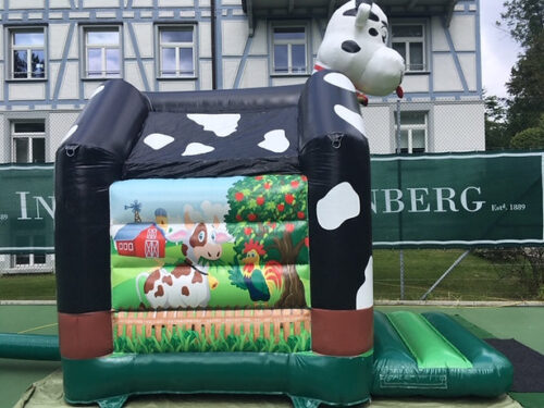 Hüpfburg Kuh ( Couw ) - Image 3